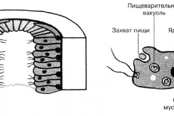 Ссылка на кракен тор браузер