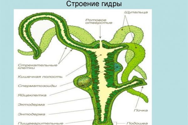 Запрещенный сайт кракен