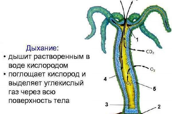 Как зайти на маркетплейс кракен