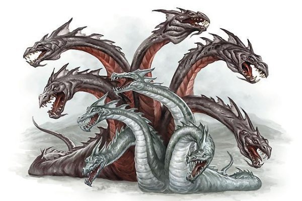 Kraken 20at net