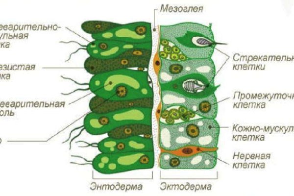 Гидра кракен